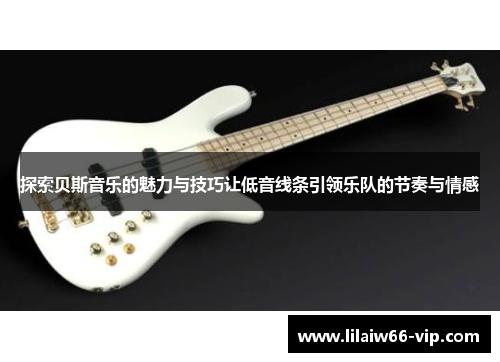 探索贝斯音乐的魅力与技巧让低音线条引领乐队的节奏与情感