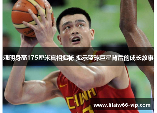 姚明身高175厘米真相揭秘 揭示篮球巨星背后的成长故事