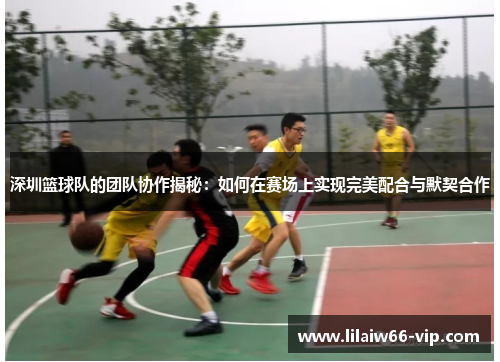 深圳篮球队的团队协作揭秘：如何在赛场上实现完美配合与默契合作