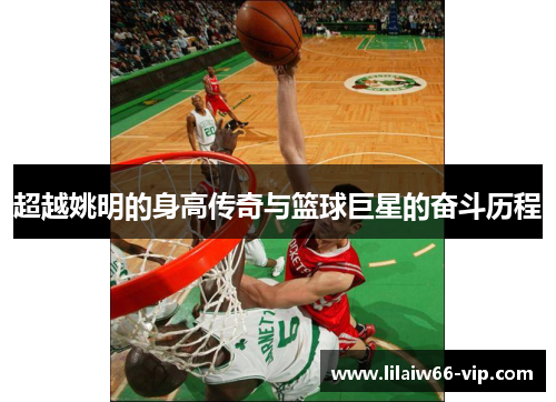 超越姚明的身高传奇与篮球巨星的奋斗历程