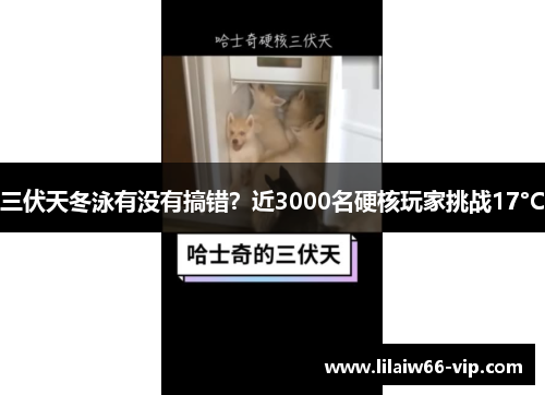 三伏天冬泳有没有搞错？近3000名硬核玩家挑战17°C